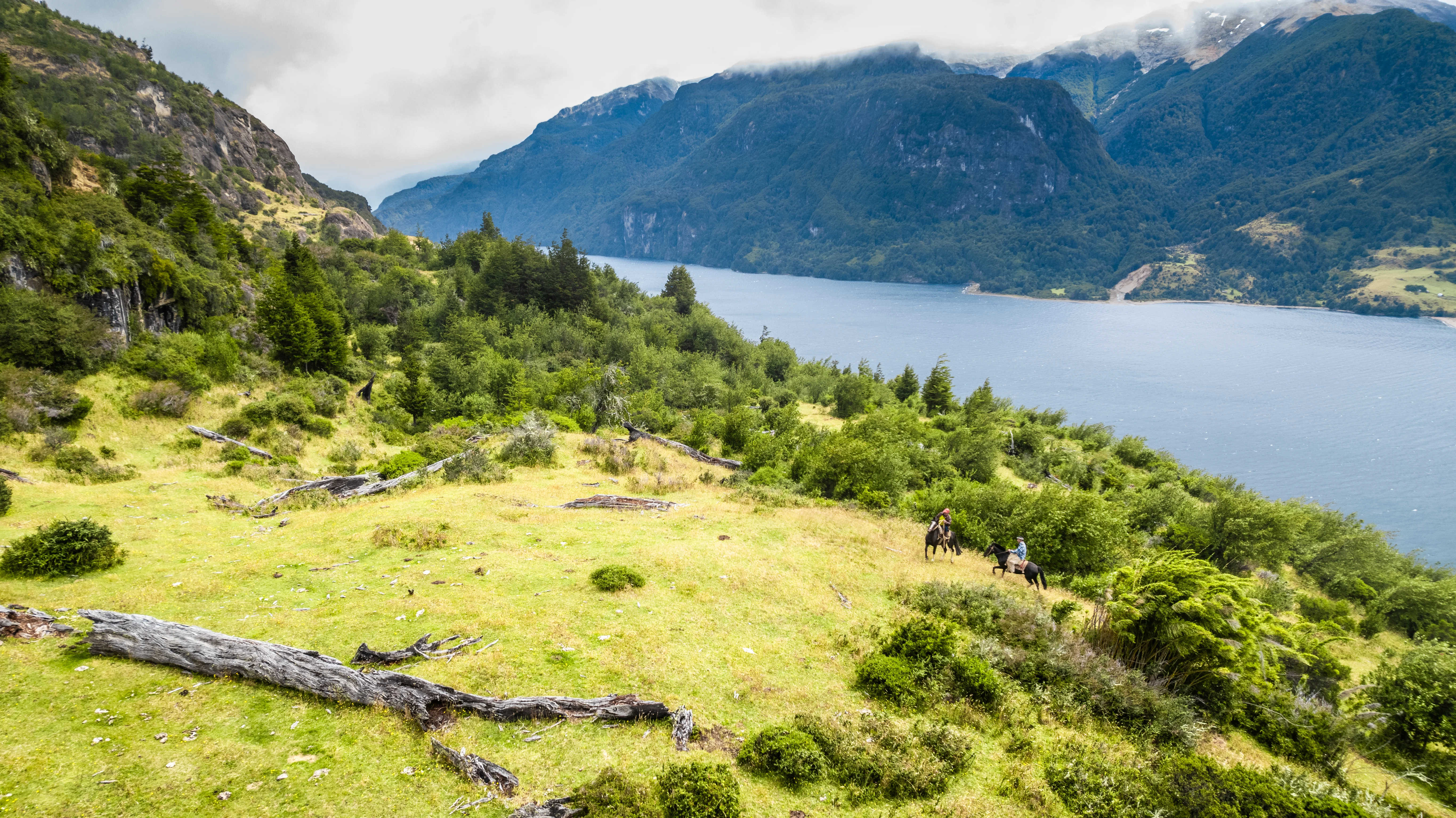 Naturaleza Altos del Elizalde